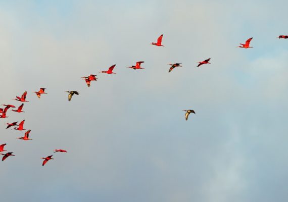 Tour das vivências no Delta do Parnaíba: um passeio através do tempo