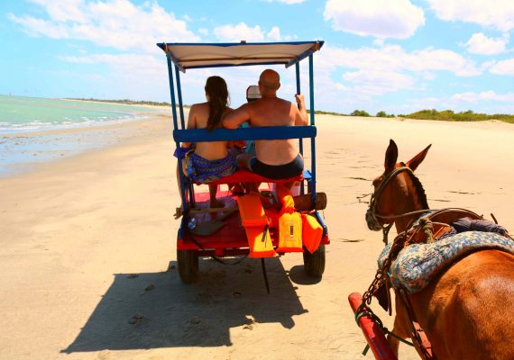 O que você precisa saber sobre a Rota do Cavalo Marinho em Barra Grande?