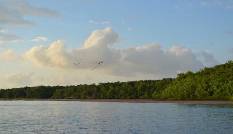 delta