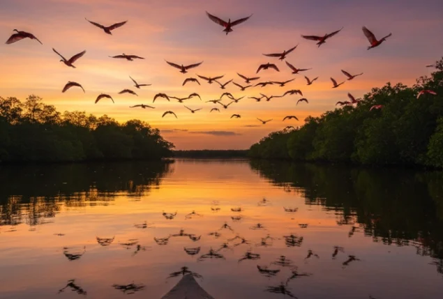 Guia do Delta do Parnaíba, Piauí, com a Revoada dos Guarás ao fundo.