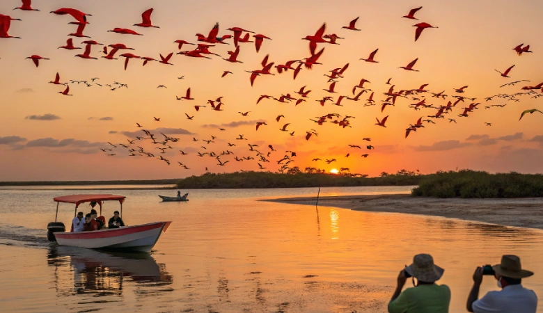 Revoada de guarás ao pôr do sol no Delta do Parnaíba, com aves vermelhas em voo intenso sobre o rio dourado.