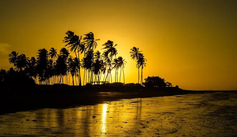 Coqueiros em silhueta contra o céu dourado do fim de tarde, com a faixa de areia molhada da maré baixa refletindo o sol