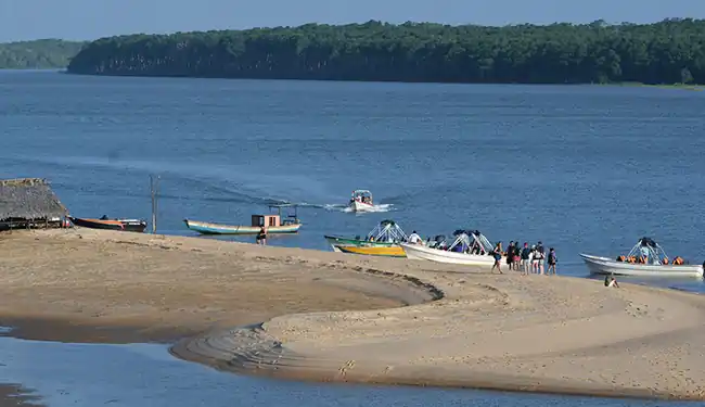 Turistas apreciando o pôr do sol dourado e a revoada de pássaros no Delta do Parnaíba