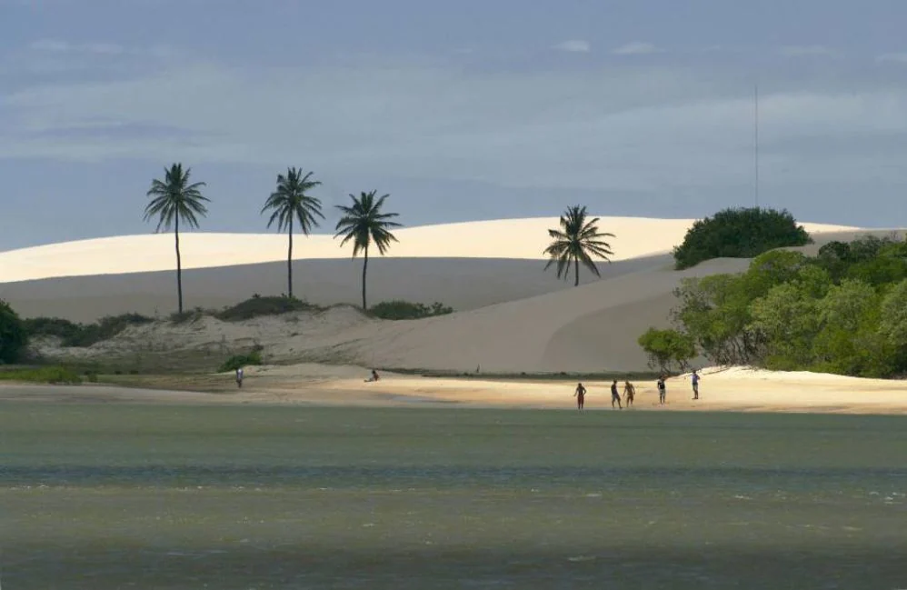 Coqueiros sobre as dunas Coqueiros sobre dunas claras à beira de um rio, com pessoas caminhando na margem