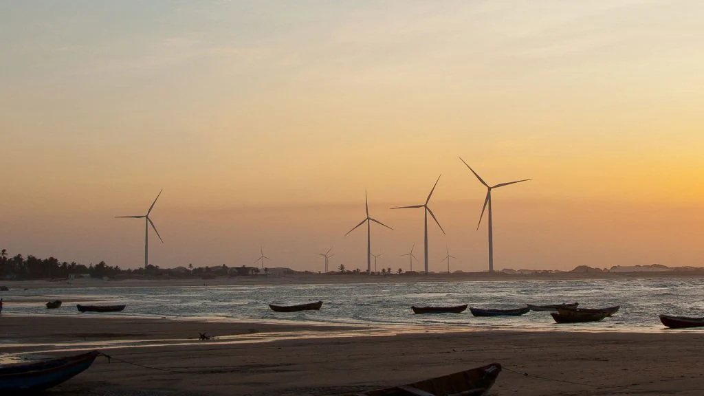 Ilhas fluviais e manguezais do Delta do Parnaíba vistos durante o passeio de barco