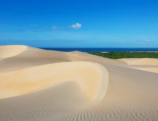 Dunas de areia dourada com ondulações do vento, faixa de vegetação verde e o mar azul ao fundo sob céu azul