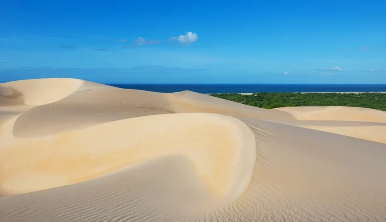 Dunas de areia dourada com ondulações do vento, faixa de vegetação verde e o mar azul ao fundo sob céu azul
