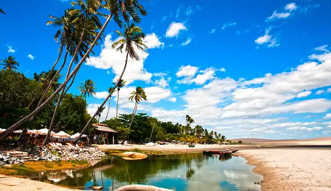Público curtindo a virada de ano sob o céu estrelado e clima tropical em Barra Grande no Piauí