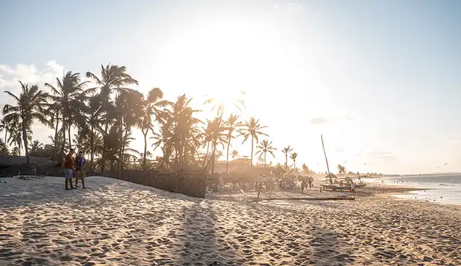 Paisagem natural de estuário e manguezal preservado com fauna marinha no Nordeste