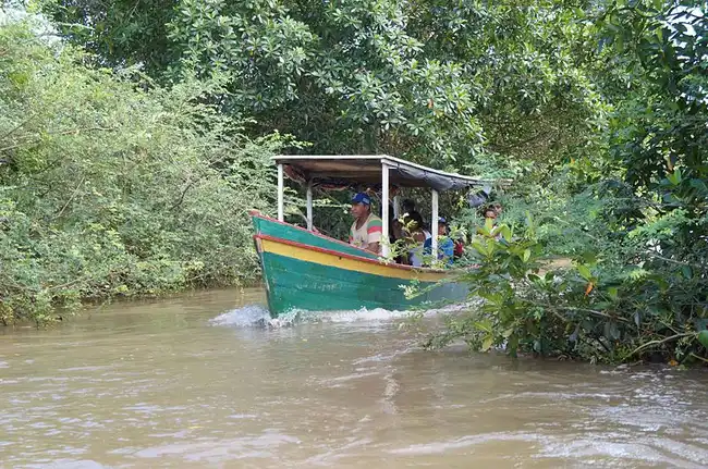 Navegação ecológica pelas ilhas fluviais do Delta do Parnaíba no Piauí