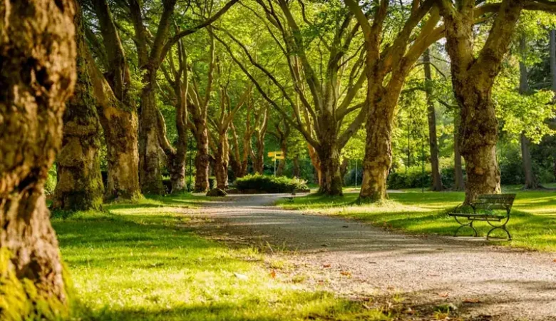 Extensa área verde com vegetação nativa, gramados e calçadões do Parque Estadual do Cocó em Fortaleza