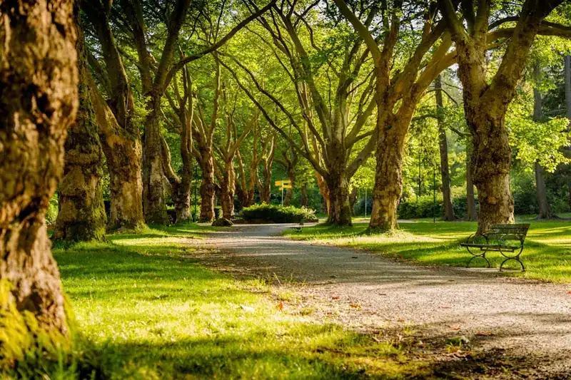 Extensa área verde com vegetação nativa, gramados e calçadões do Parque Estadual do Cocó em Fortaleza