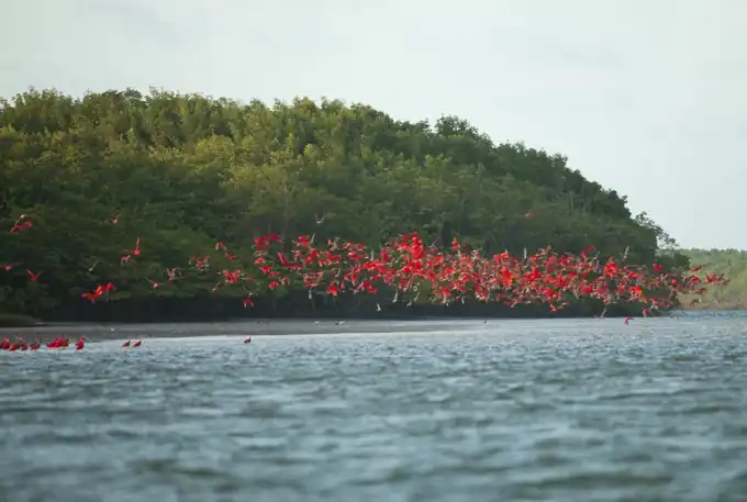 Lancha rápida atracada nas dunas douradas e águas calmas do Delta do Parnaíba
