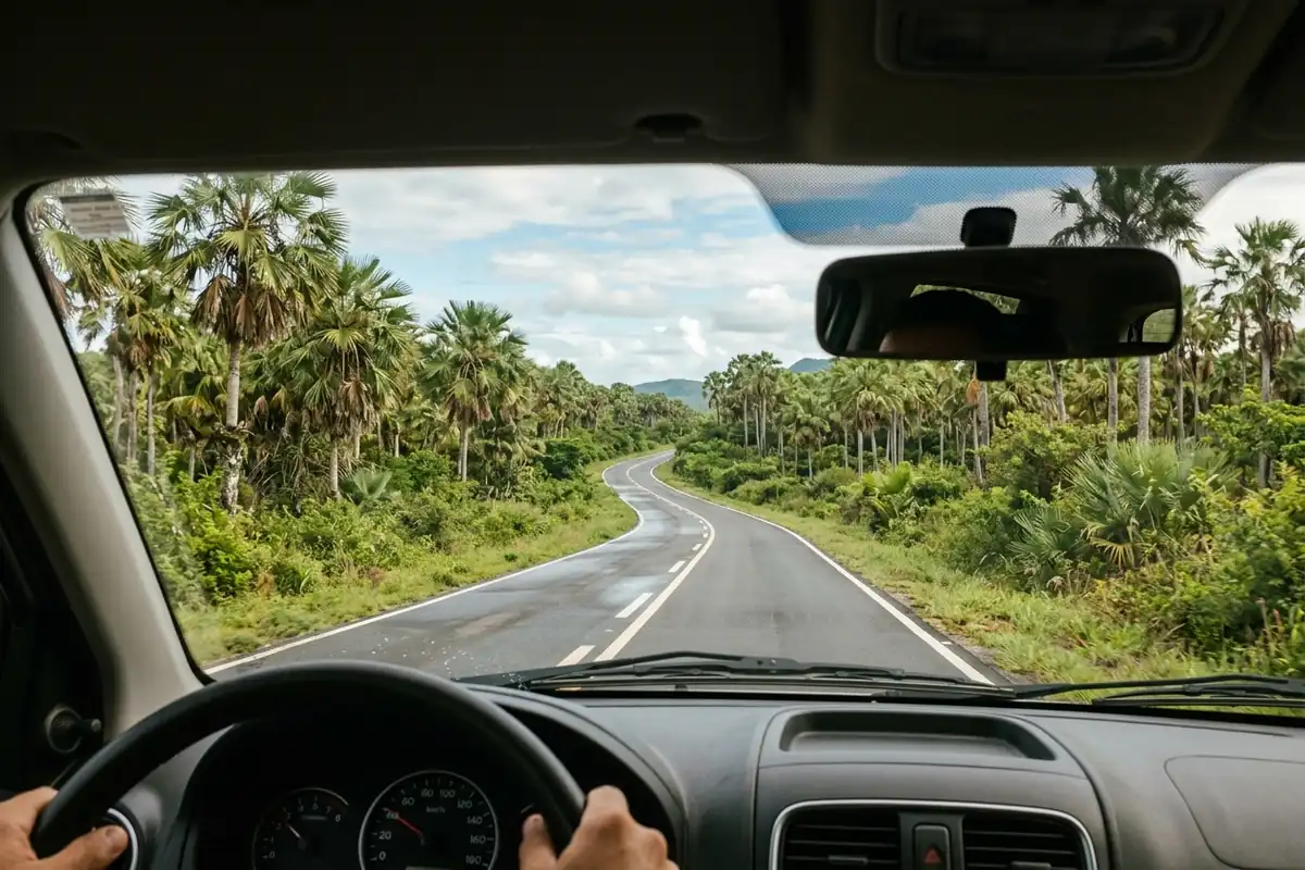 Estrada de acesso ao Porto dos Tatus, entre carnaubais, saindo de Parnaíba