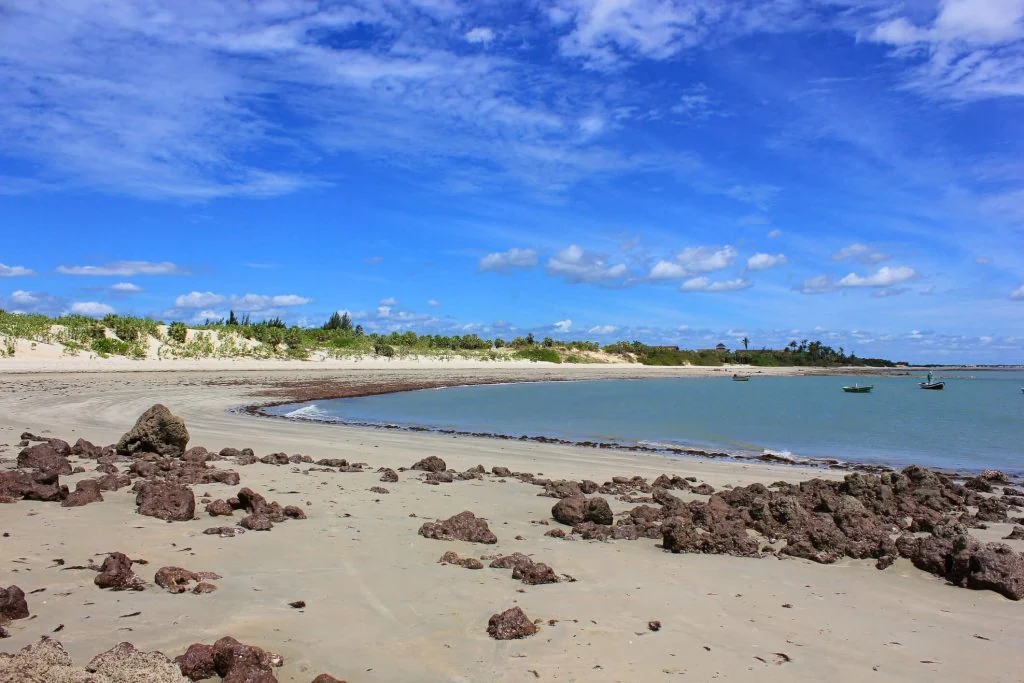Praia de Macapá, no litoral do Piauí, com faixa de areia e coqueiros