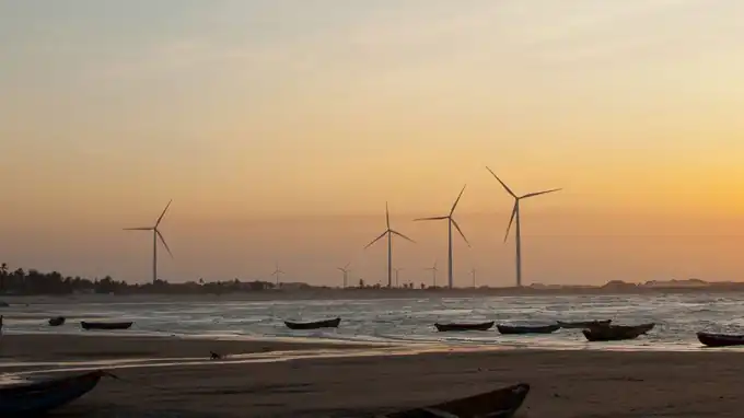 Centenas de guarás vermelhos sobrevoando a vegetação de mangue ao entardecer no Delta do Parnaíba